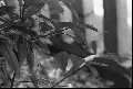 Image13_thumb.jpg
