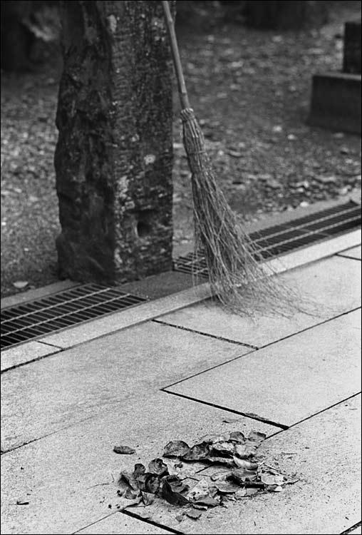Image14.jpg