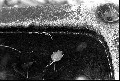 Image3_thumb.jpg