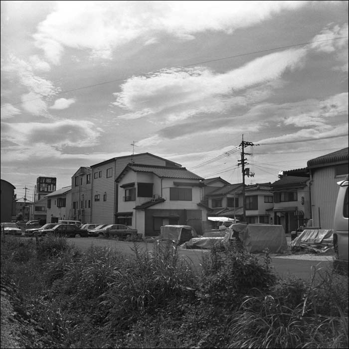 Image8.jpg