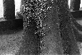 Image04_thumb.png