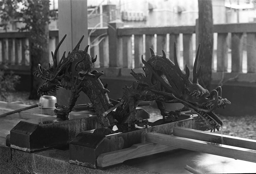 Image07.jpg