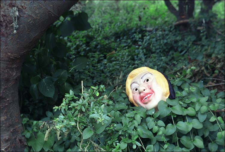 002.jpg