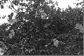 Image10_thumb.jpg