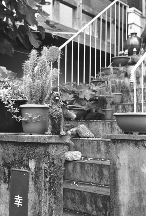 Image13.jpg
