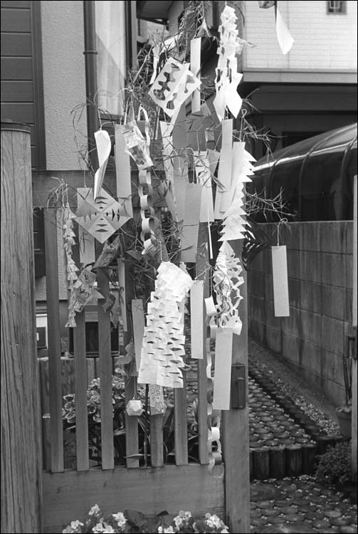 Image14.jpg