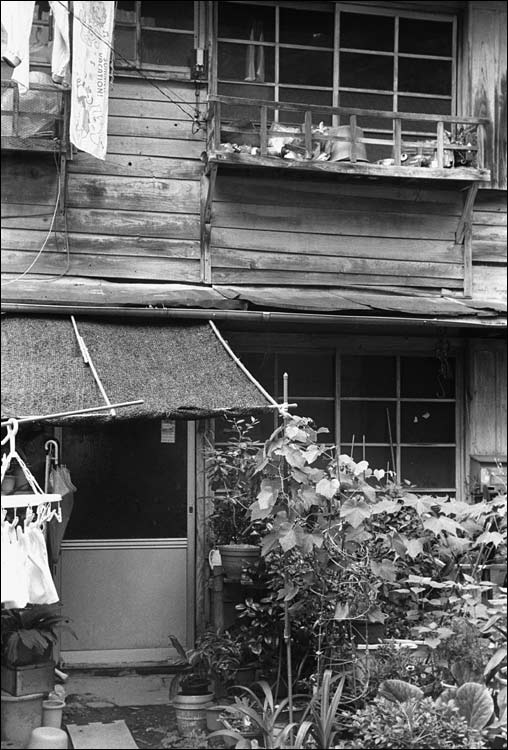 Image4.jpg