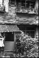Image4_thumb.jpg