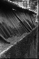 Image7_thumb.jpg