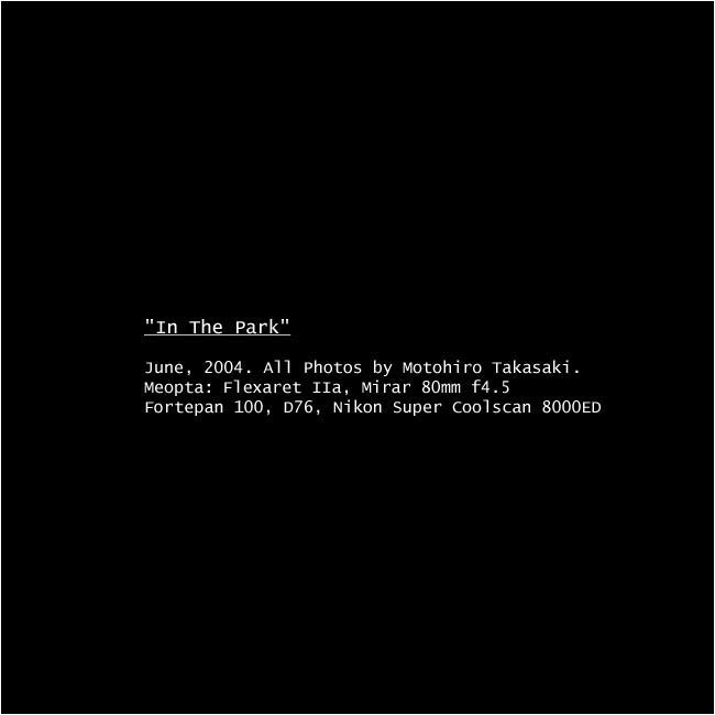 100.jpg