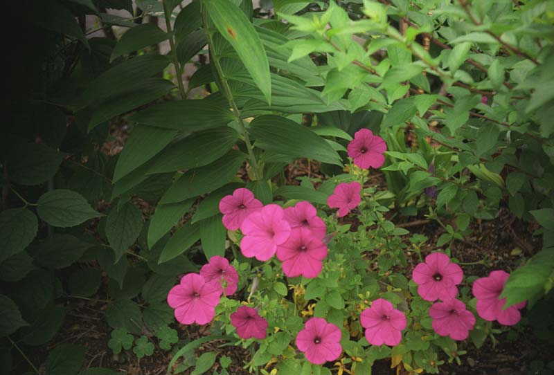 Image10.jpg