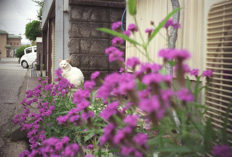 Image11.jpg