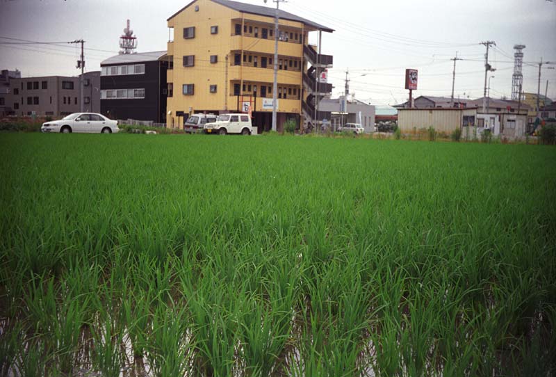 Image14.jpg