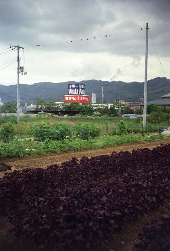 Image15.jpg