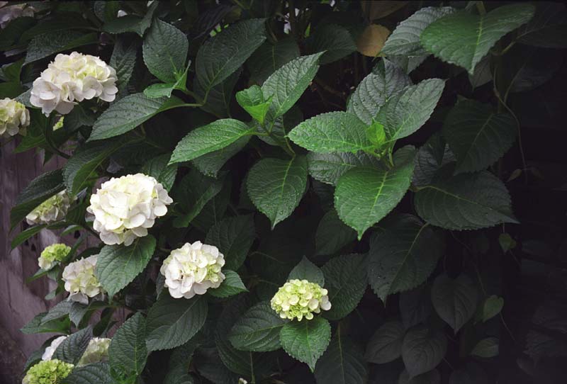 Image3.jpg