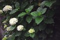 Image3_thumb.jpg
