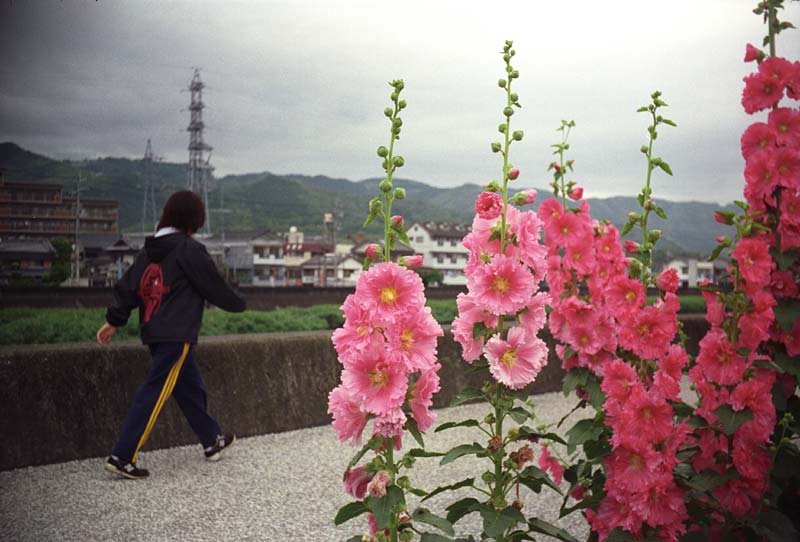 Image7.jpg