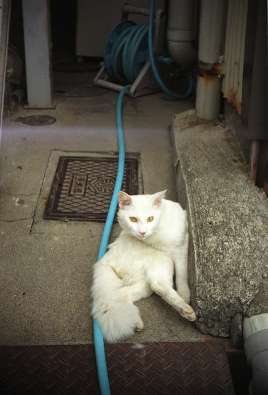 Image8.jpg