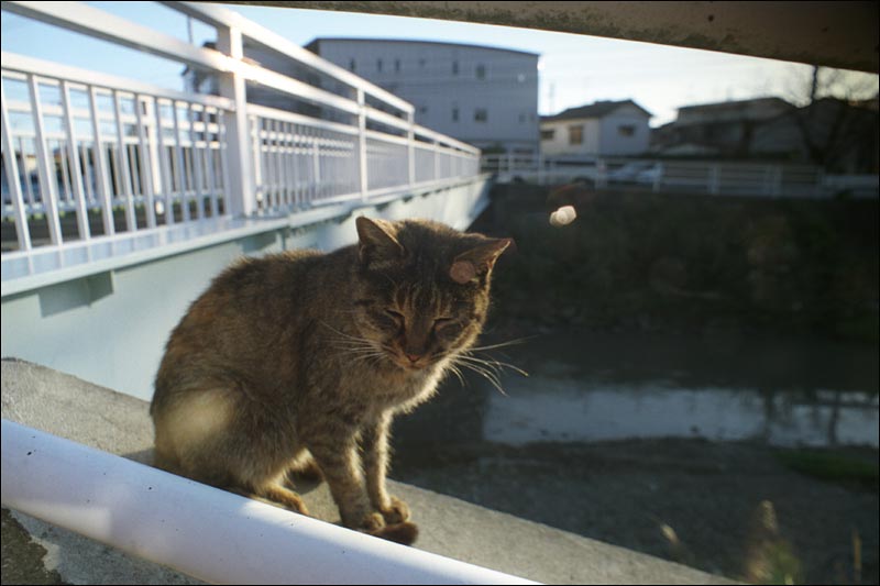 k01.jpg