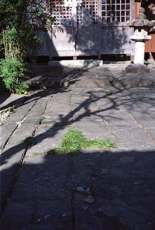 Image1.jpg
