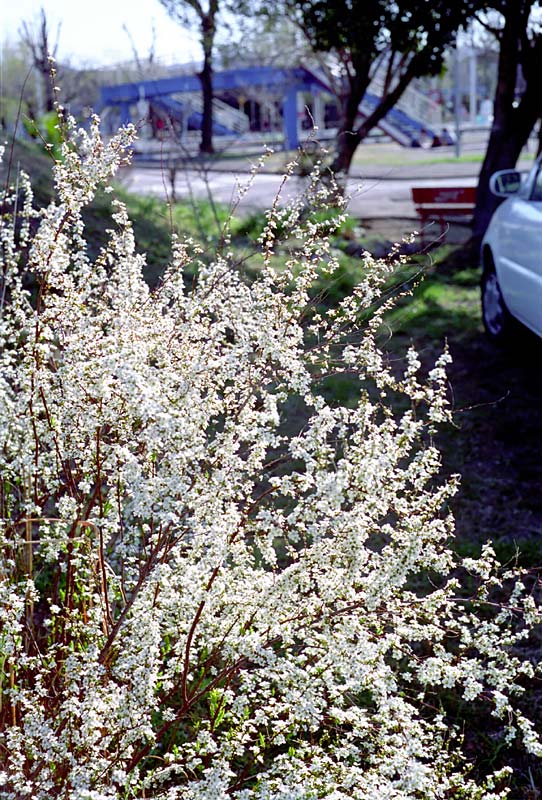 Image20.jpg