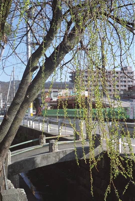 Image3.jpg