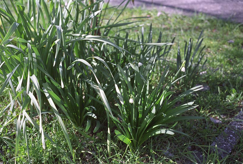Image6.jpg