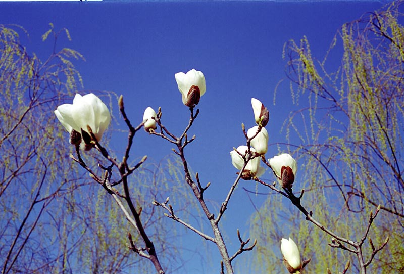 Image7.jpg