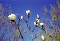Image7_thumb.jpg