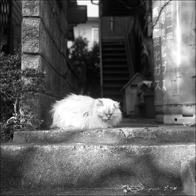 Image8.jpg