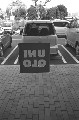 Image13_thumb.jpg