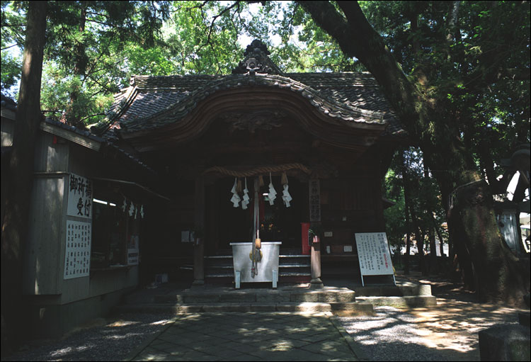 028-01.jpg