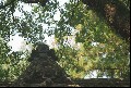 135-02_thumb.jpg