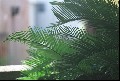 135-04_thumb.jpg
