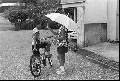 Image1_thumb.jpg