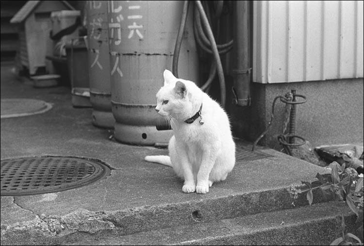 Image7.jpg