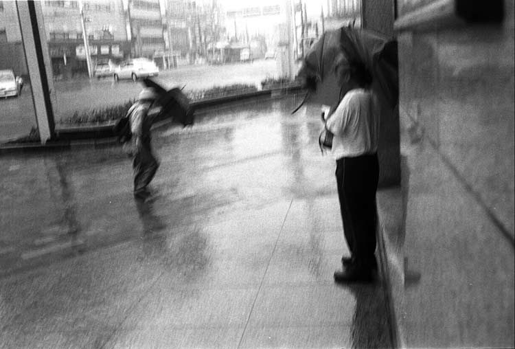 Image11.jpg