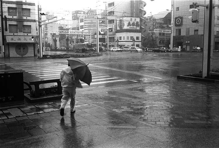 Image12.jpg