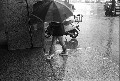 Image16_thumb.jpg