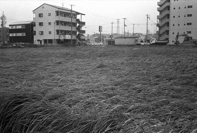 Image19.jpg