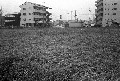 Image19_thumb.jpg