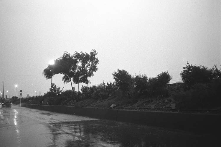 Image23.jpg