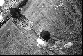 Image19_thumb.jpg