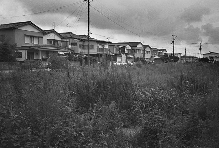 Image8.jpg