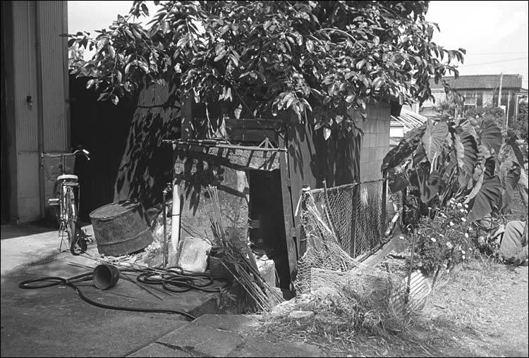 Image1.jpg
