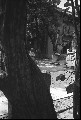 Image10_thumb.jpg