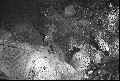 Image11_thumb.jpg