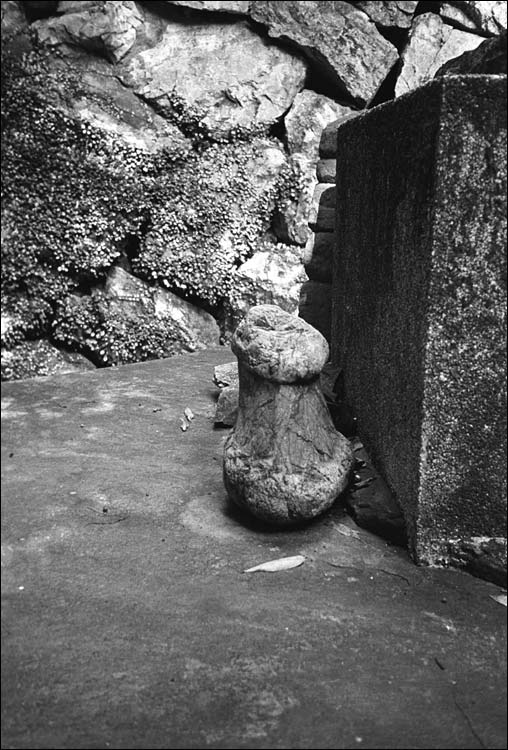Image14.jpg