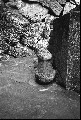 Image14_thumb.jpg