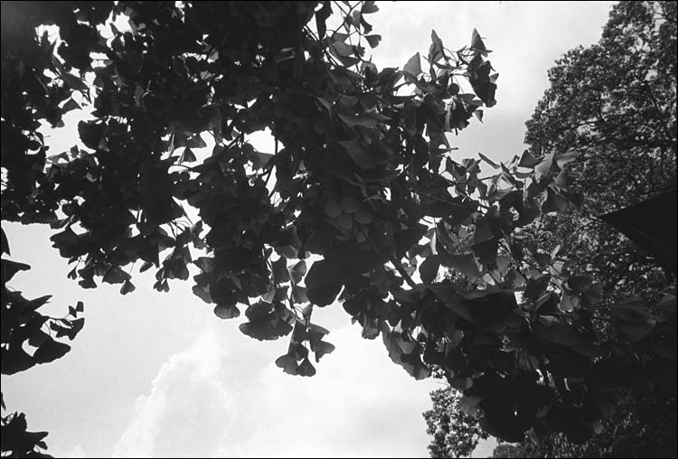 Image18.jpg